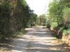 Nome del file=2013_10_06_bidderosa_007.jpg
Dimensione del file=2921KiB
Dimensioni=3264x2448
Aggiunta il=07 Ott 2013 2013_10_06_bidderosa_007.jpg
