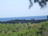 Nome del file=2013_10_07_bidderosa_bastiano_marongiu_028.jpg
Dimensione del file=2239KiB
Dimensioni=3488x2616
Aggiunta il=22 Ott 2013 2013_10_07_bidderosa_bastiano_marongiu_028.jpg