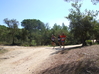 Nome del file=2013_10_07_bidderosa_bastiano_marongiu_057.jpg
Dimensione del file=2301KiB
Dimensioni=3488x2616
Aggiunta il=22 Ott 2013 2013_10_07_bidderosa_bastiano_marongiu_057.jpg