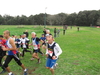 Nome del file=2015_01_25_san_sperate_cross_9558.JPG
Dimensione del file=319KiB
Dimensioni=1280x960
Aggiunta il=25 Gen 2015 2015_01_25_san_sperate_cross_9558.JPG