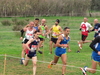 Nome del file=2015_01_25_san_sperate_cross_9566.JPG
Dimensione del file=386KiB
Dimensioni=1280x960
Aggiunta il=25 Gen 2015 2015_01_25_san_sperate_cross_9566.JPG