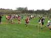 Nome del file=2015_01_25_san_sperate_cross_9579.JPG
Dimensione del file=297KiB
Dimensioni=1280x960
Aggiunta il=25 Gen 2015 2015_01_25_san_sperate_cross_9579.JPG