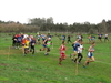Nome del file=2015_01_25_san_sperate_cross_9580.JPG
Dimensione del file=290KiB
Dimensioni=1280x960
Aggiunta il=25 Gen 2015 2015_01_25_san_sperate_cross_9580.JPG