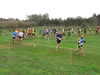 Nome del file=2015_01_25_san_sperate_cross_9588.JPG
Dimensione del file=297KiB
Dimensioni=1280x960
Aggiunta il=25 Gen 2015 2015_01_25_san_sperate_cross_9588.JPG
