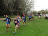 Nome del file=2015_01_25_san_sperate_cross_9604.JPG
Dimensione del file=350KiB
Dimensioni=1280x960
Aggiunta il=25 Gen 2015 2015_01_25_san_sperate_cross_9604.JPG