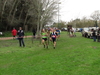 Nome del file=2015_01_25_san_sperate_cross_9609.JPG
Dimensione del file=348KiB
Dimensioni=1280x960
Aggiunta il=25 Gen 2015 2015_01_25_san_sperate_cross_9609.JPG