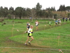 Nome del file=2015_01_25_san_sperate_cross_9753.JPG
Dimensione del file=319KiB
Dimensioni=1280x960
Aggiunta il=25 Gen 2015 2015_01_25_san_sperate_cross_9753.JPG