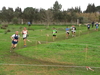 Nome del file=2015_01_25_san_sperate_cross_9754.JPG
Dimensione del file=336KiB
Dimensioni=1280x960
Aggiunta il=25 Gen 2015 2015_01_25_san_sperate_cross_9754.JPG