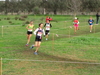 Nome del file=2015_01_25_san_sperate_cross_9794.JPG
Dimensione del file=378KiB
Dimensioni=1280x960
Aggiunta il=25 Gen 2015 2015_01_25_san_sperate_cross_9794.JPG