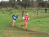 Nome del file=2015_01_25_san_sperate_cross_9796.JPG
Dimensione del file=372KiB
Dimensioni=1280x960
Aggiunta il=25 Gen 2015 2015_01_25_san_sperate_cross_9796.JPG