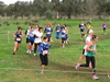 Nome del file=2015_01_25_san_sperate_cross_9820.JPG
Dimensione del file=389KiB
Dimensioni=1280x960
Aggiunta il=25 Gen 2015 2015_01_25_san_sperate_cross_9820.JPG