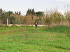 Nome del file=2015_01_25_san_sperate_cross_9856.JPG
Dimensione del file=426KiB
Dimensioni=1280x960
Aggiunta il=25 Gen 2015 2015_01_25_san_sperate_cross_9856.JPG