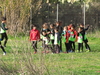 Nome del file=2015_01_25_san_sperate_cross_9875.JPG
Dimensione del file=562KiB
Dimensioni=1280x960
Aggiunta il=25 Gen 2015 2015_01_25_san_sperate_cross_9875.JPG