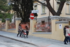 Nome del file=2015_03_08_corsa_rosa_tonino_ladu_0352.jpg
Dimensione del file=1158KiB
Dimensioni=3872x2592
Aggiunta il=22 Mag 2015 2015_03_08_corsa_rosa_tonino_ladu_0352.jpg