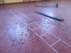 Nome del file=2015_04_07_palestra_vandali_170912.jpg
Dimensione del file=457KiB
Dimensioni=1280x960
Aggiunta il=07 Apr 2015 2015_04_07_palestra_vandali_170912.jpg