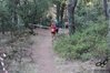 Nome del file=2015_07_31_2_corri_per_il_porcetto_as__00194.jpg
Dimensione del file=9667KiB
Dimensioni=4608x3072
Aggiunta il=01 Ago 2015 2015_07_31_2_corri_per_il_porcetto_as__00194.jpg
