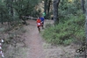 Nome del file=2015_07_31_2_corri_per_il_porcetto_as__00195.jpg
Dimensione del file=9965KiB
Dimensioni=4608x3072
Aggiunta il=01 Ago 2015 2015_07_31_2_corri_per_il_porcetto_as__00195.jpg