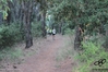 Nome del file=2015_07_31_2_corri_per_il_porcetto_as__00223.jpg
Dimensione del file=9414KiB
Dimensioni=4608x3072
Aggiunta il=01 Ago 2015 2015_07_31_2_corri_per_il_porcetto_as__00223.jpg