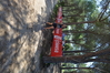 Nome del file=2015_10_04_bidderosa_francesca_fronteddu_2549_rid.JPG
Dimensione del file=527KiB
Dimensioni=1280x853
Aggiunta il=11 Ott 2015 2015_10_04_bidderosa_francesca_fronteddu_2549_rid.JPG