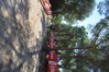 Nome del file=2015_10_04_bidderosa_francesca_fronteddu_2552_rid.JPG
Dimensione del file=499KiB
Dimensioni=1280x853
Aggiunta il=11 Ott 2015 2015_10_04_bidderosa_francesca_fronteddu_2552_rid.JPG