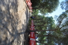 Nome del file=2015_10_04_bidderosa_francesca_fronteddu_2553_rid.JPG
Dimensione del file=485KiB
Dimensioni=1280x853
Aggiunta il=11 Ott 2015 2015_10_04_bidderosa_francesca_fronteddu_2553_rid.JPG