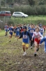 Nome del file=Gonnosfanadiga531.jpg
Dimensione del file=116KiB
Dimensioni=600x900
Aggiunta il=12 Feb 2009 Gonnosfanadiga531.jpg
