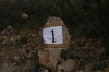 Nome del file=DiGsp07_03158.jpg
Dimensione del file=46KiB
Dimensioni=600x400
Aggiunta il=08 Ott 2007 DiGsp07_03158.jpg