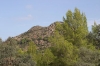 Nome del file=DiGsp07_03164.jpg
Dimensione del file=61KiB
Dimensioni=600x400
Aggiunta il=08 Ott 2007 DiGsp07_03164.jpg