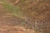 Nome del file=DiGsp07_03165.jpg
Dimensione del file=78KiB
Dimensioni=600x400
Aggiunta il=08 Ott 2007 DiGsp07_03165.jpg
