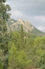 Nome del file=DiGsp07_03170.jpg
Dimensione del file=228KiB
Dimensioni=400x600
Aggiunta il=08 Ott 2007 DiGsp07_03170.jpg