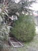 Nome del file=campo_scuola_2005_03_02_010.jpg
Dimensione del file=171KiB
Dimensioni=600x800
Aggiunta il=08 Apr 2010 campo_scuola_2005_03_02_010.jpg