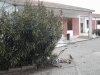 Nome del file=campo_scuola_2005_03_02_011.jpg
Dimensione del file=80KiB
Dimensioni=600x450
Aggiunta il=08 Apr 2010 campo_scuola_2005_03_02_011.jpg