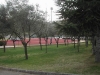 Nome del file=campo_scuola_2005_03_22_002.jpg
Dimensione del file=72KiB
Dimensioni=600x450
Aggiunta il=08 Apr 2010 campo_scuola_2005_03_22_002.jpg