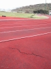 Nome del file=campo_scuola_2005_03_22_044.jpg
Dimensione del file=92KiB
Dimensioni=600x800
Aggiunta il=08 Apr 2010 campo_scuola_2005_03_22_044.jpg
