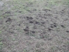 Nome del file=campo_scuola_2005_03_22_096.jpg
Dimensione del file=107KiB
Dimensioni=600x450
Aggiunta il=08 Apr 2010 campo_scuola_2005_03_22_096.jpg