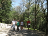 Nome del file=Orani_terzo_Raduno_Corsardo_060.jpg
Dimensione del file=4090KiB
Dimensioni=2592x1944
Aggiunta il=12 Nov 2011 Orani_terzo_Raduno_Corsardo_060.jpg