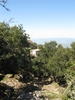 Nome del file=Orani_terzo_Raduno_Corsardo_089.jpg
Dimensione del file=2898KiB
Dimensioni=1944x2592
Aggiunta il=12 Nov 2011 Orani_terzo_Raduno_Corsardo_089.jpg