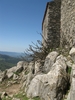 Nome del file=Orani_terzo_Raduno_Corsardo_108.jpg
Dimensione del file=2985KiB
Dimensioni=1944x2592
Aggiunta il=12 Nov 2011 Orani_terzo_Raduno_Corsardo_108.jpg