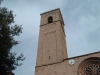 Nome del file=DSCF3441.JPG
Dimensione del file=82KiB
Dimensioni=600x450
Aggiunta il=23 Mar 2010 DSCF3441.JPG