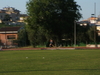 Nome del file=dscf0668.jpg
Dimensione del file=1047KiB
Dimensioni=2272x1704
Aggiunta il=16 Giu 2011 dscf0668.jpg