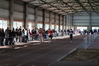 Nome del file=2014_01_26_Iglesias_Indoor_3160.JPG
Dimensione del file=9955KiB
Dimensioni=4608x3072
Aggiunta il=27 Gen 2014 2014_01_26_Iglesias_Indoor_3160.JPG