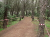 2014_02_02_cross_ugolio_4131.JPG