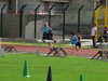 Nome del file=2014_05_10_atleticapiu_03_giornata_macomer_6312.JPG
Dimensione del file=2287KiB
Dimensioni=3264x2448
Aggiunta il=10 Mag 2014 2014_05_10_atleticapiu_03_giornata_macomer_6312.JPG