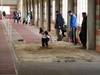 Nome del file=2015_01_18_iglesias_indoor_9477.JPG
Dimensione del file=291KiB
Dimensioni=1280x960
Aggiunta il=18 Gen 2015 2015_01_18_iglesias_indoor_9477.JPG