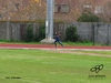 Nome del file=2015_12_06_macomer_atleticapiu_0634.JPG
Dimensione del file=4429KiB
Dimensioni=3264x2448
Aggiunta il=07 Dic 2015 2015_12_06_macomer_atleticapiu_0634.JPG