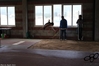 Nome del file=2016_02_07_Campionato_regionale_indoor_as_00394.jpg
Dimensione del file=6615KiB
Dimensioni=4608x3072
Aggiunta il=09 Feb 2016 2016_02_07_Campionato_regionale_indoor_as_00394.jpg
