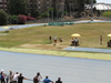 Nome del file=2016_07_10_cagliari_campionati_regionale_prove_multiple_3306.JPG
Dimensione del file=1918KiB
Dimensioni=3264x2448
Aggiunta il=12 Lug 2016 2016_07_10_cagliari_campionati_regionale_prove_multiple_3306.JPG