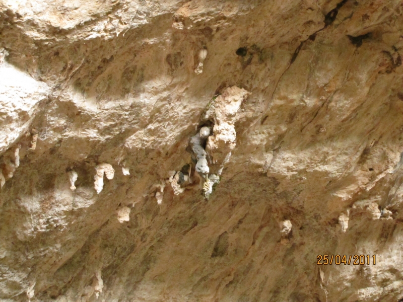 Clicca per vedere l'immagine alla massima grandezza
