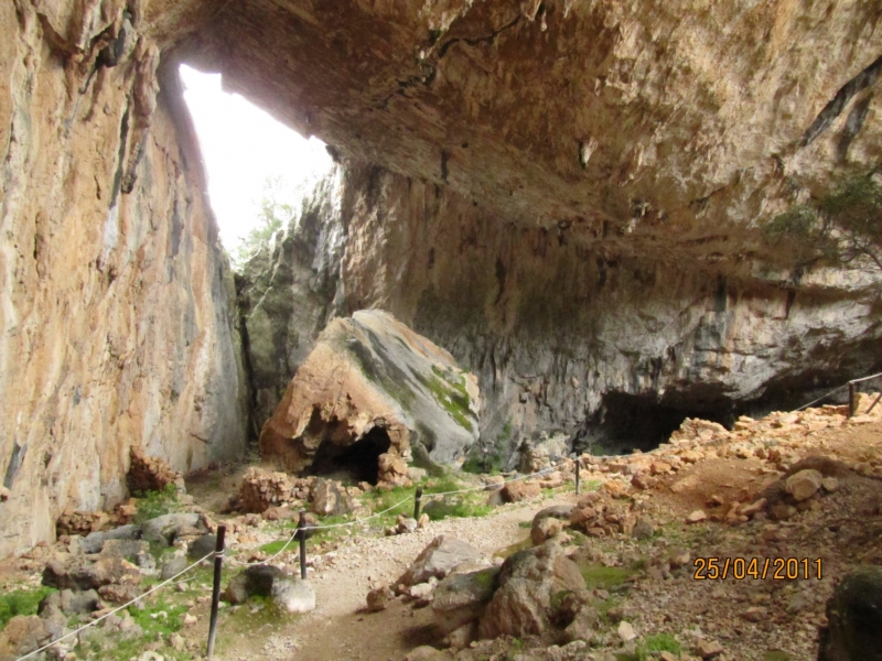 Clicca per vedere l'immagine alla massima grandezza