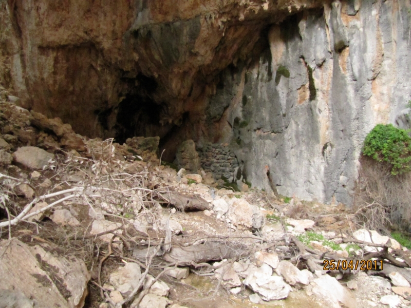 Clicca per vedere l'immagine alla massima grandezza